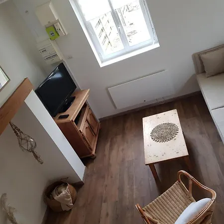 Le Palmier Des Rochers Saint-Léonard