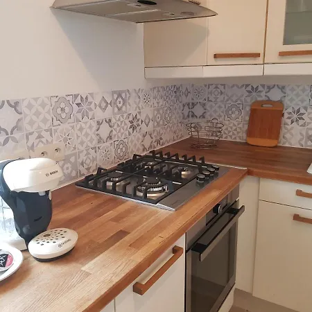 Le Palmier Des Rochers *