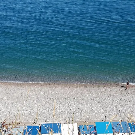Le Palmier Des Rochers