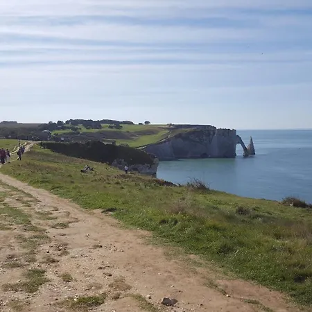 Le Palmier Des Rochers Saint-Léonard