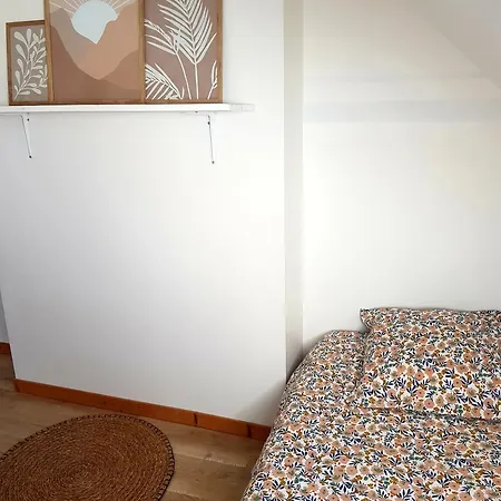 Le Palmier Des Rochers